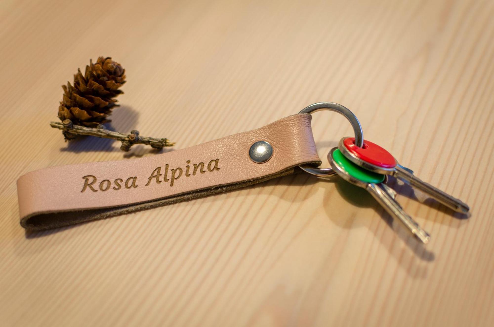 Rosa Alpina - Appartamento Nelle Dolomiti Dobbiaco Zewnętrze zdjęcie
